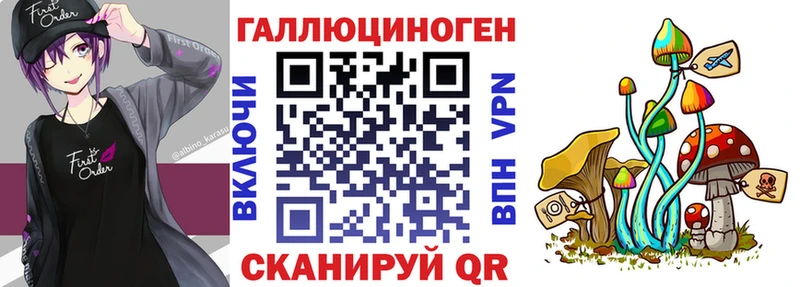 Купить  Шахунья  Галлюциногенные грибы Magic Shrooms 